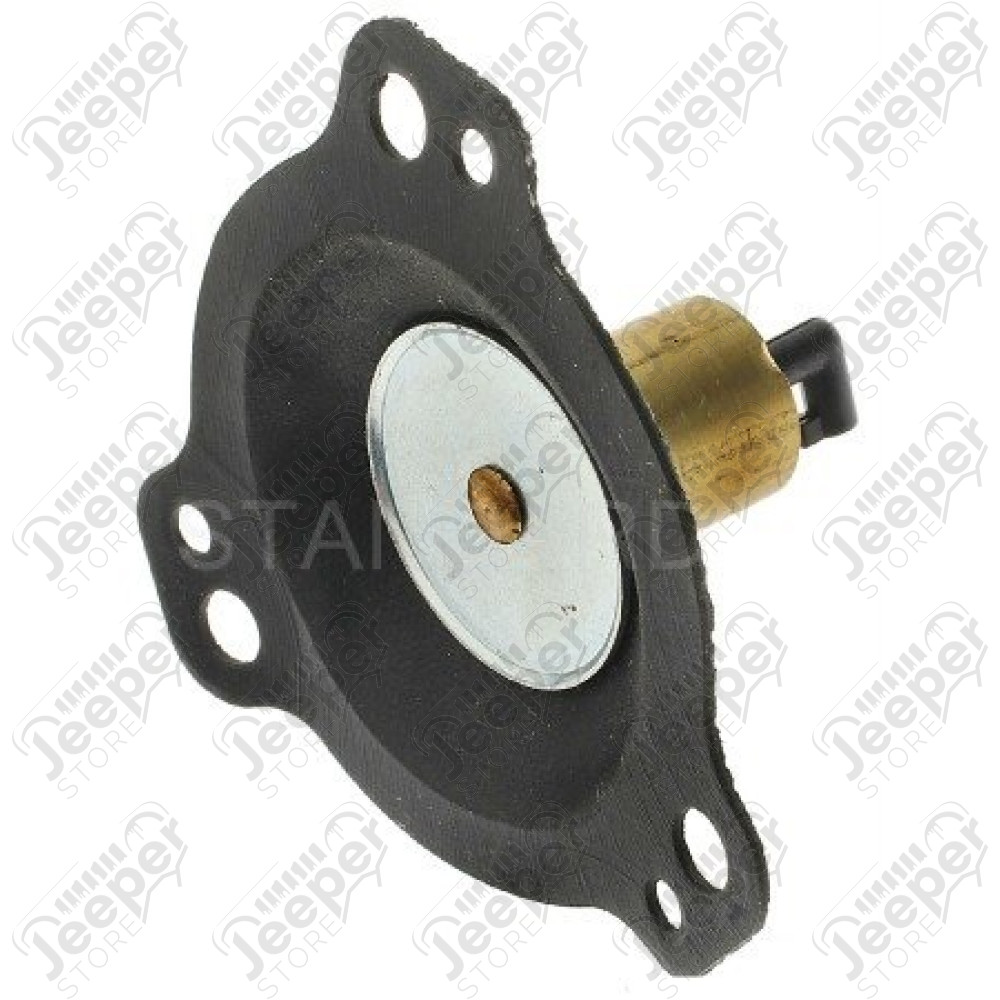 Régulateur de carburant pour carburateur 4.9L , 5.9L V8 (2 BBL) essence moteur AMC Jeep CJ