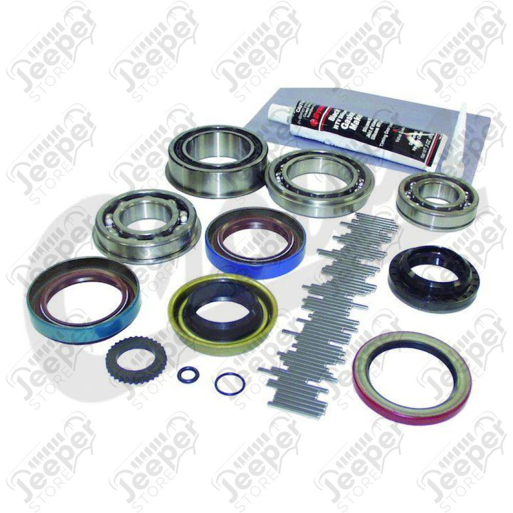 Master Overhaul Kit (NP249)