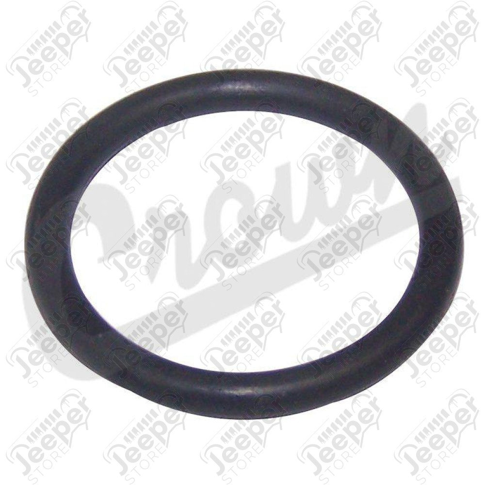 O-Ring (Oil Filter)