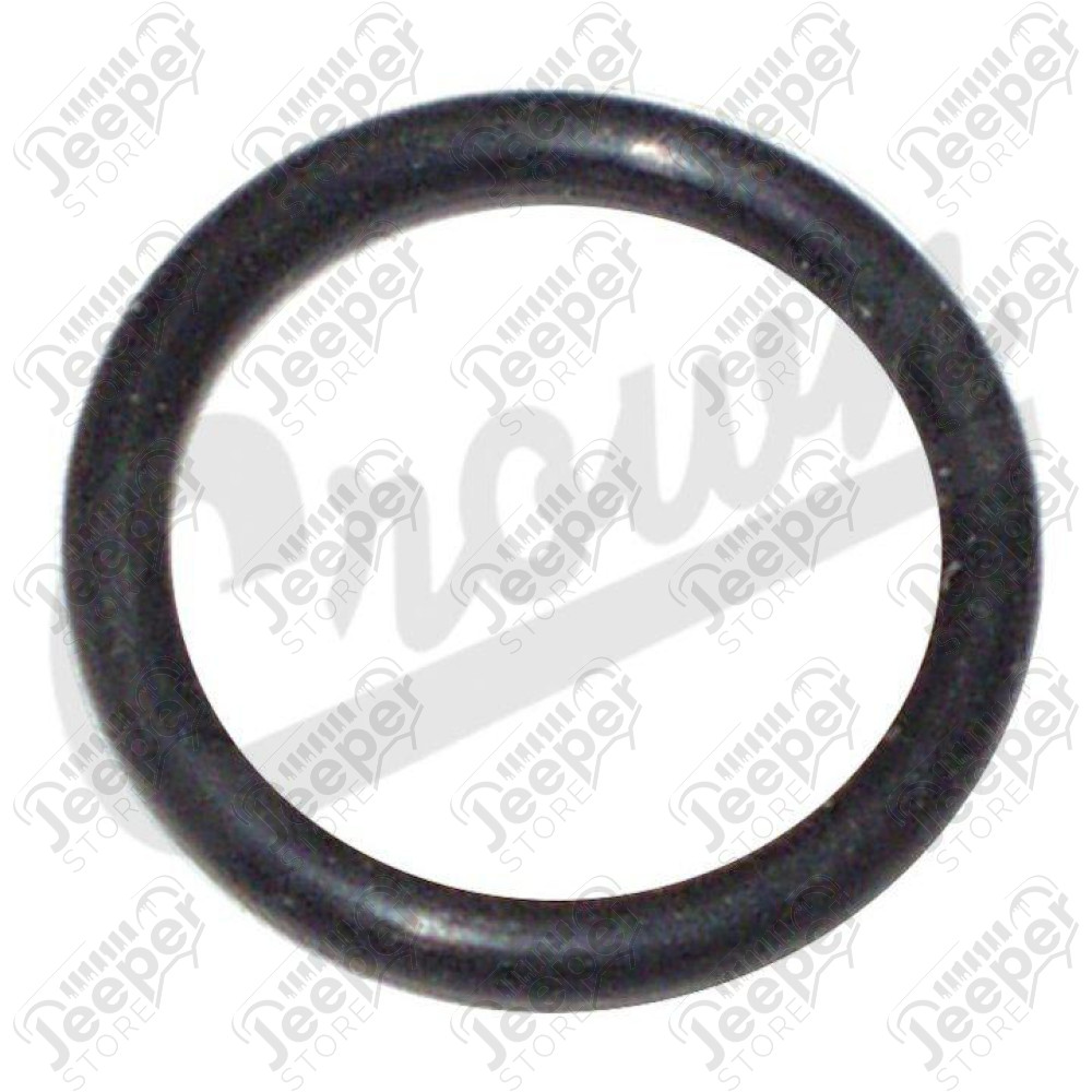 O-Ring
