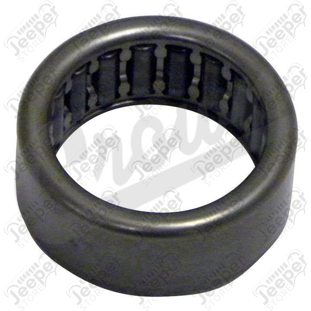 Input Pilot Bearing