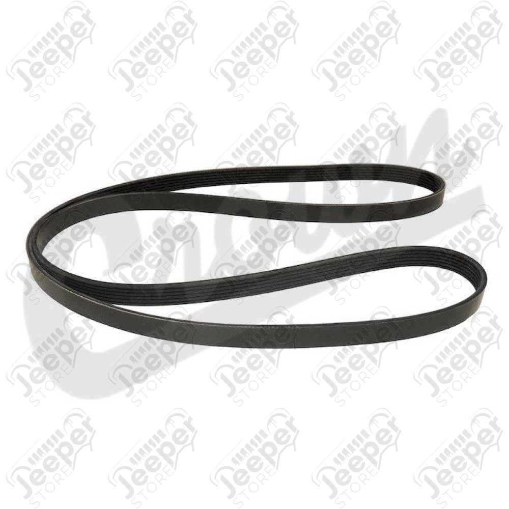 Serpetine Belt
