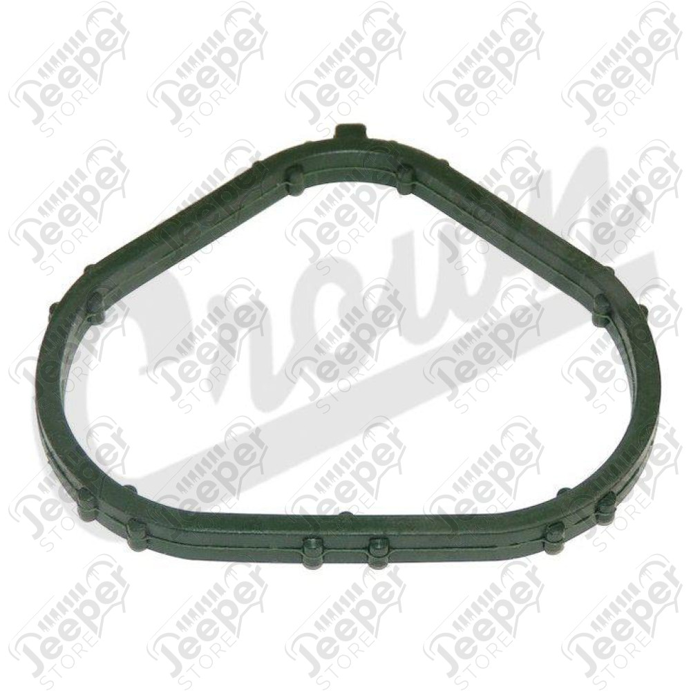 Intake Manifold Gasket