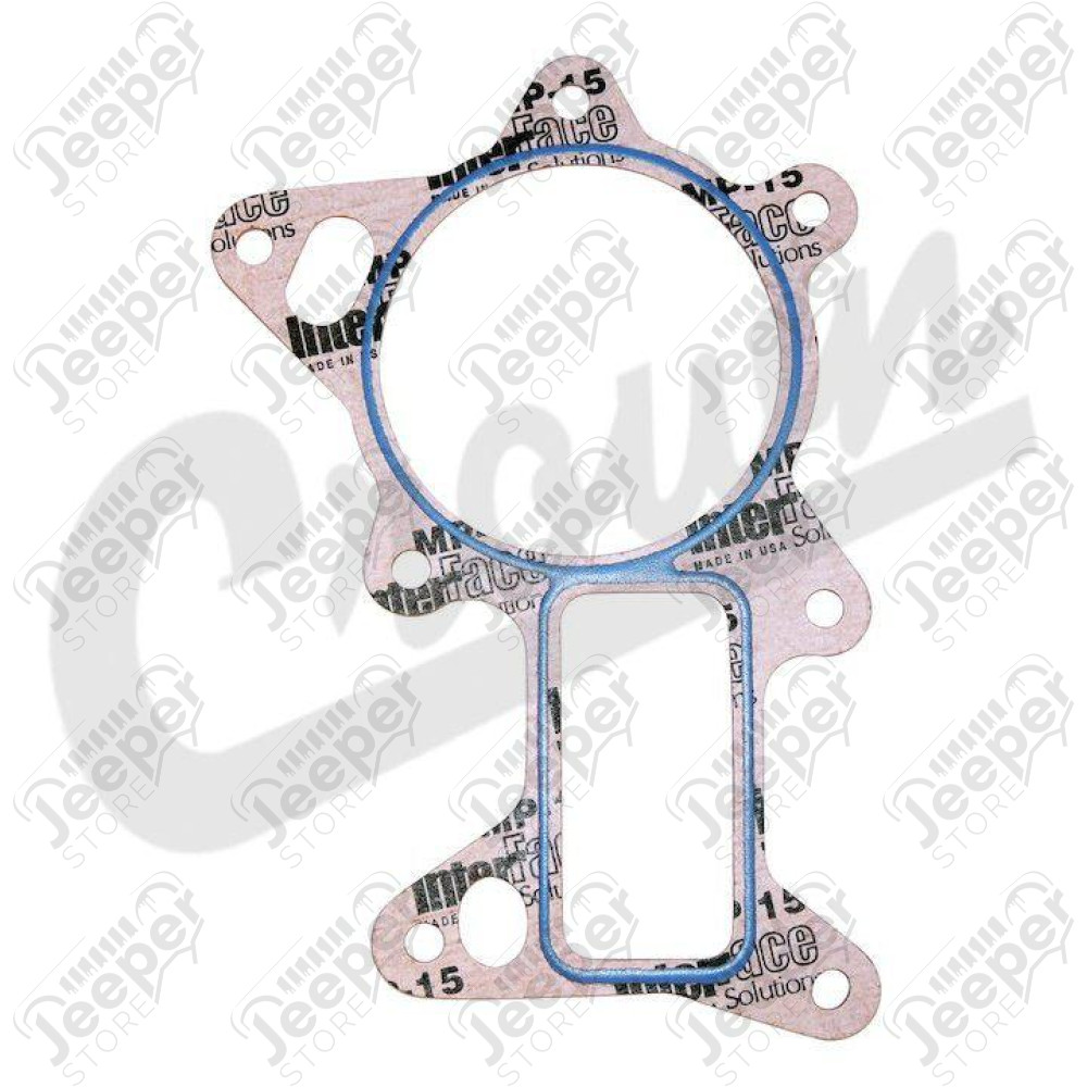 Water Pump Gasket