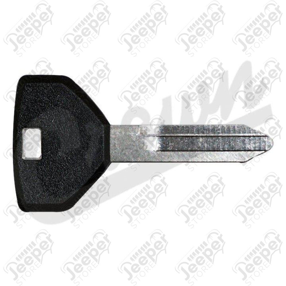 Ignition & Door Key (Blank)
