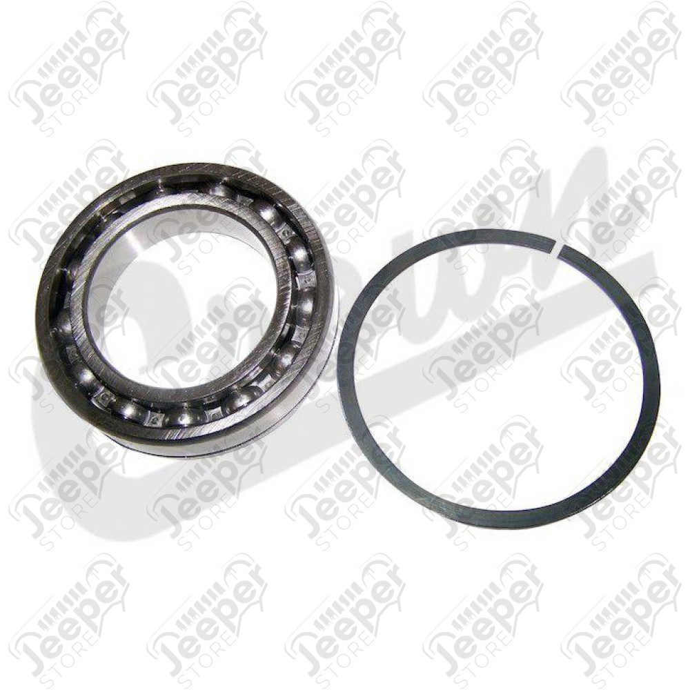 Input Shaft Bearing