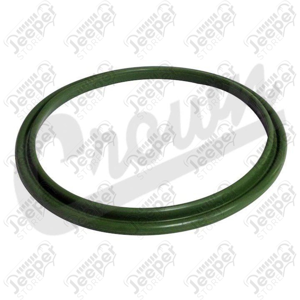 Fuel Pressure Regulator Seal