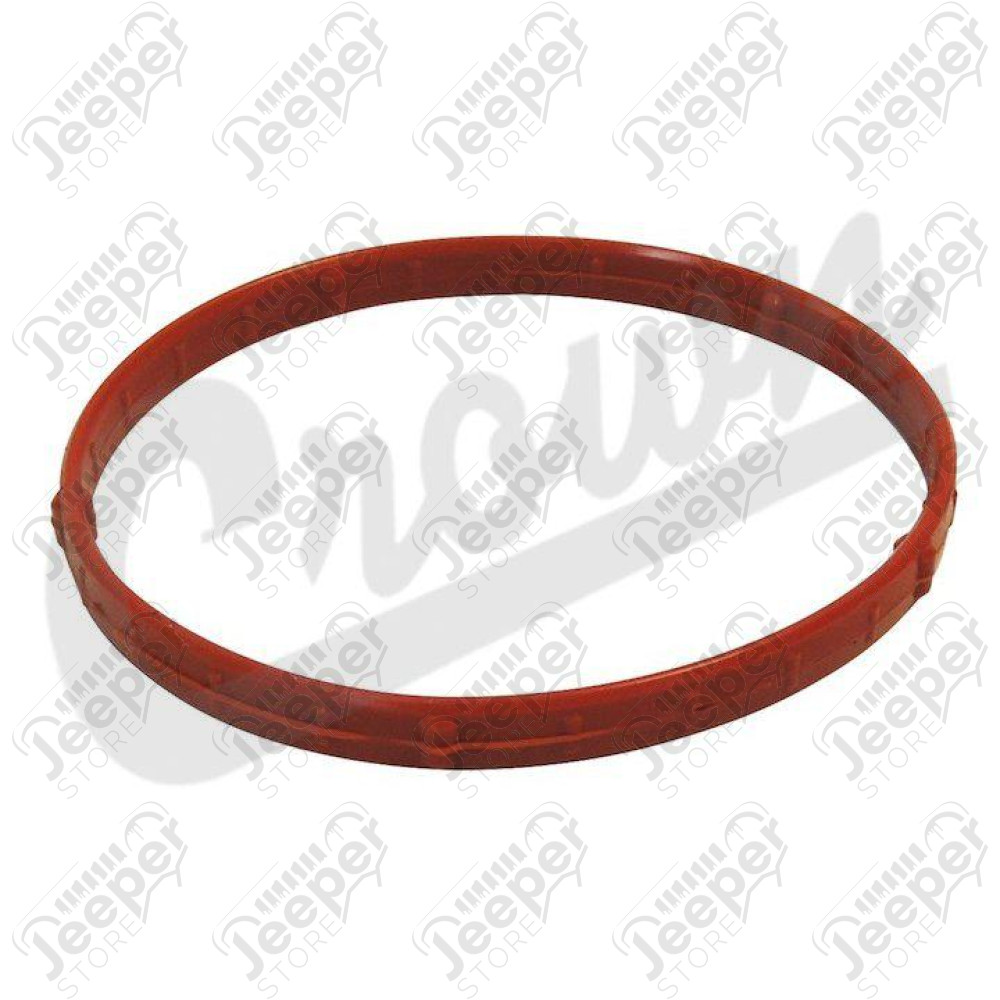 Throttle Body Gasket