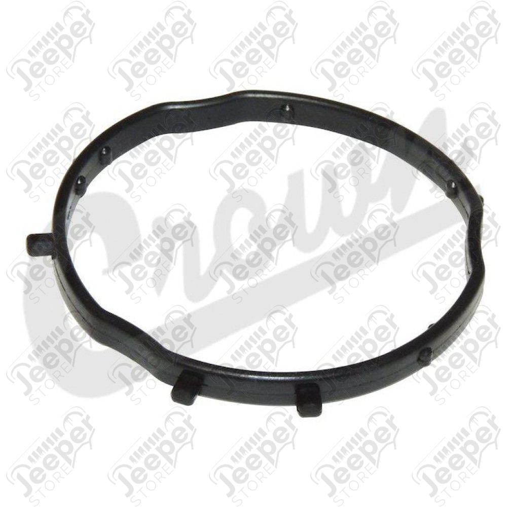 Camshaft Phaser Actuator Seal