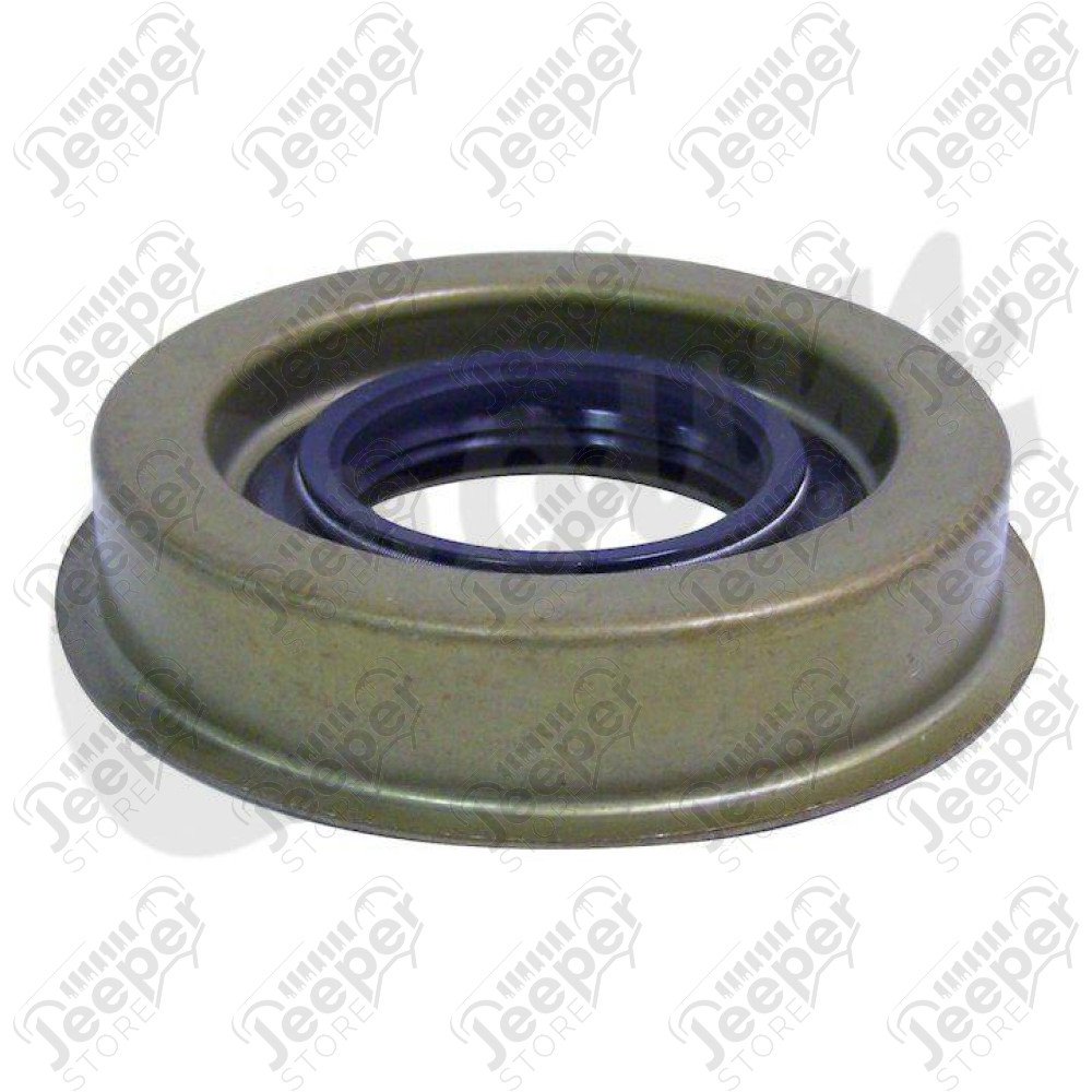 Pinion Seal (Flanged)