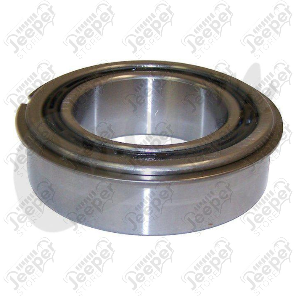 Input Gear Bearing