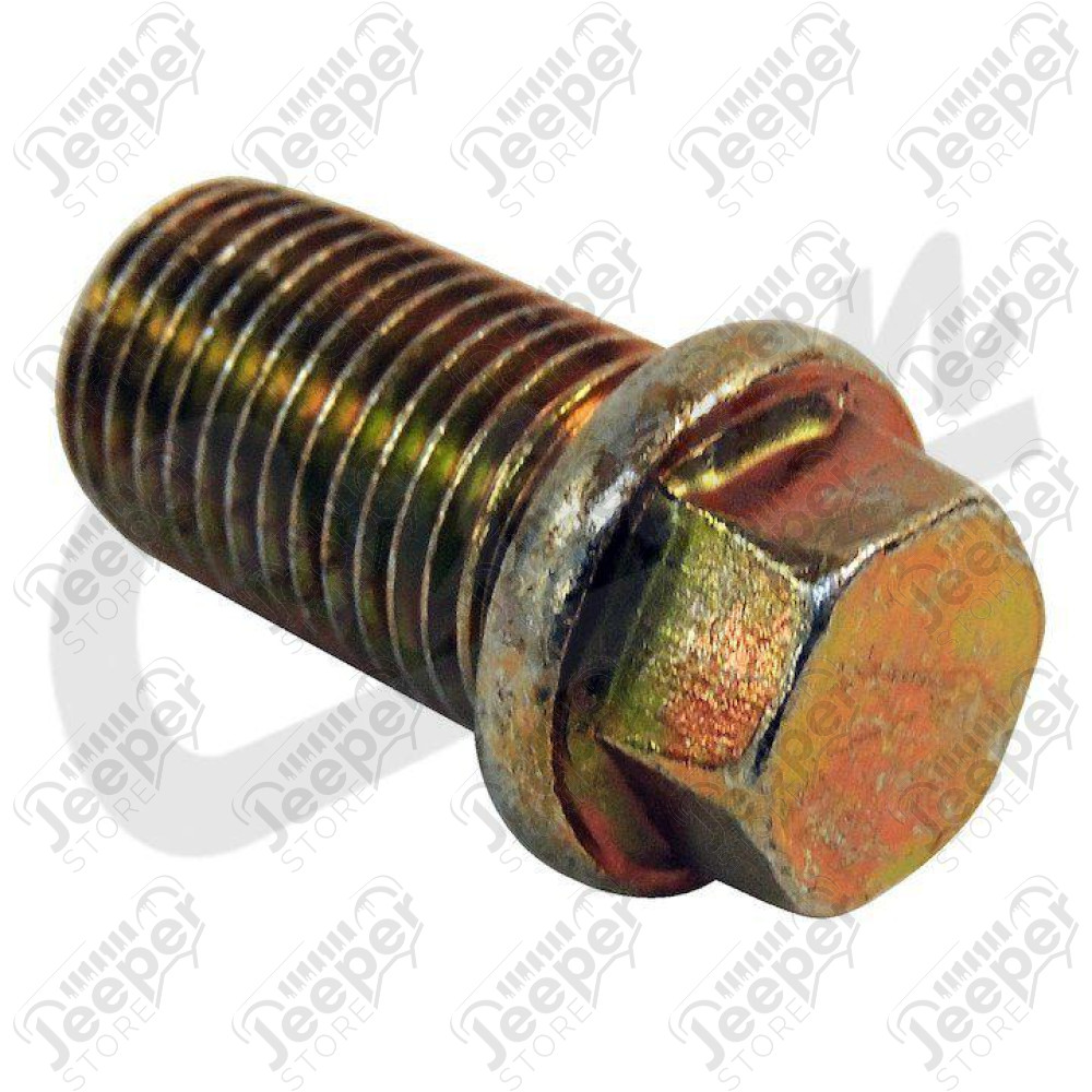 Oil Pan Plug