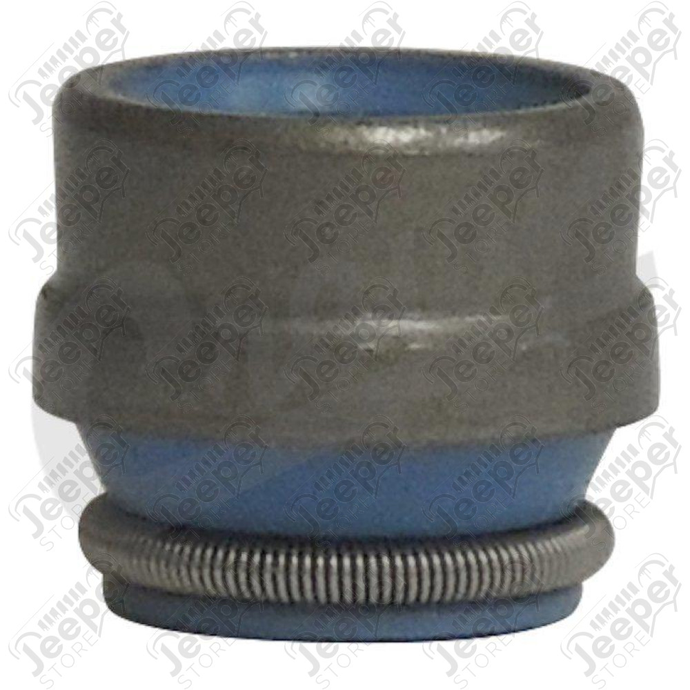 Valve Seal