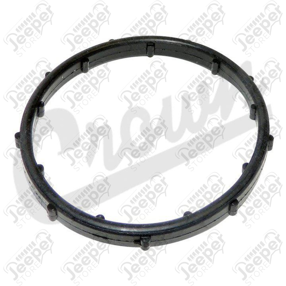Thermostat Seal