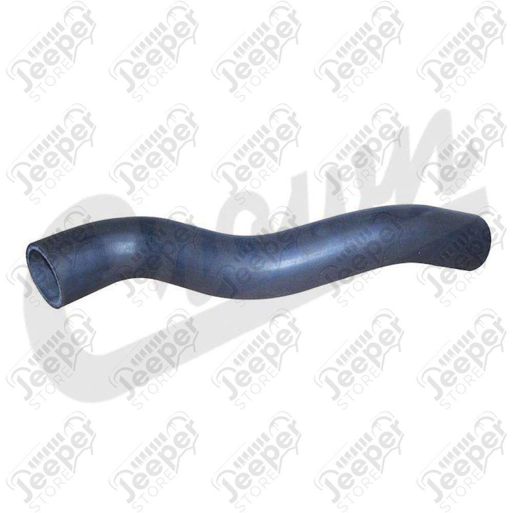 Radiator Hose (Lower-Outlet)