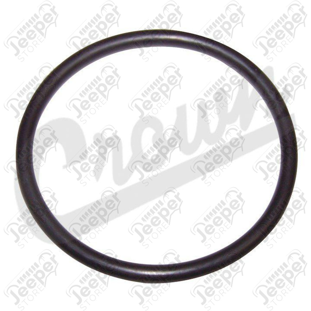 Fuel Sending Unit O-Ring
