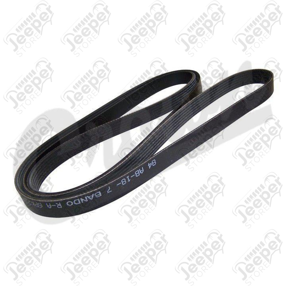 Serpentine Belt