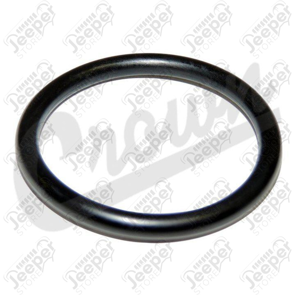 Timing Case Cover O-Ring
