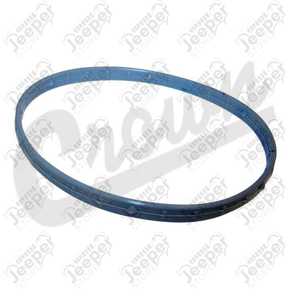 Throttle Body Gasket