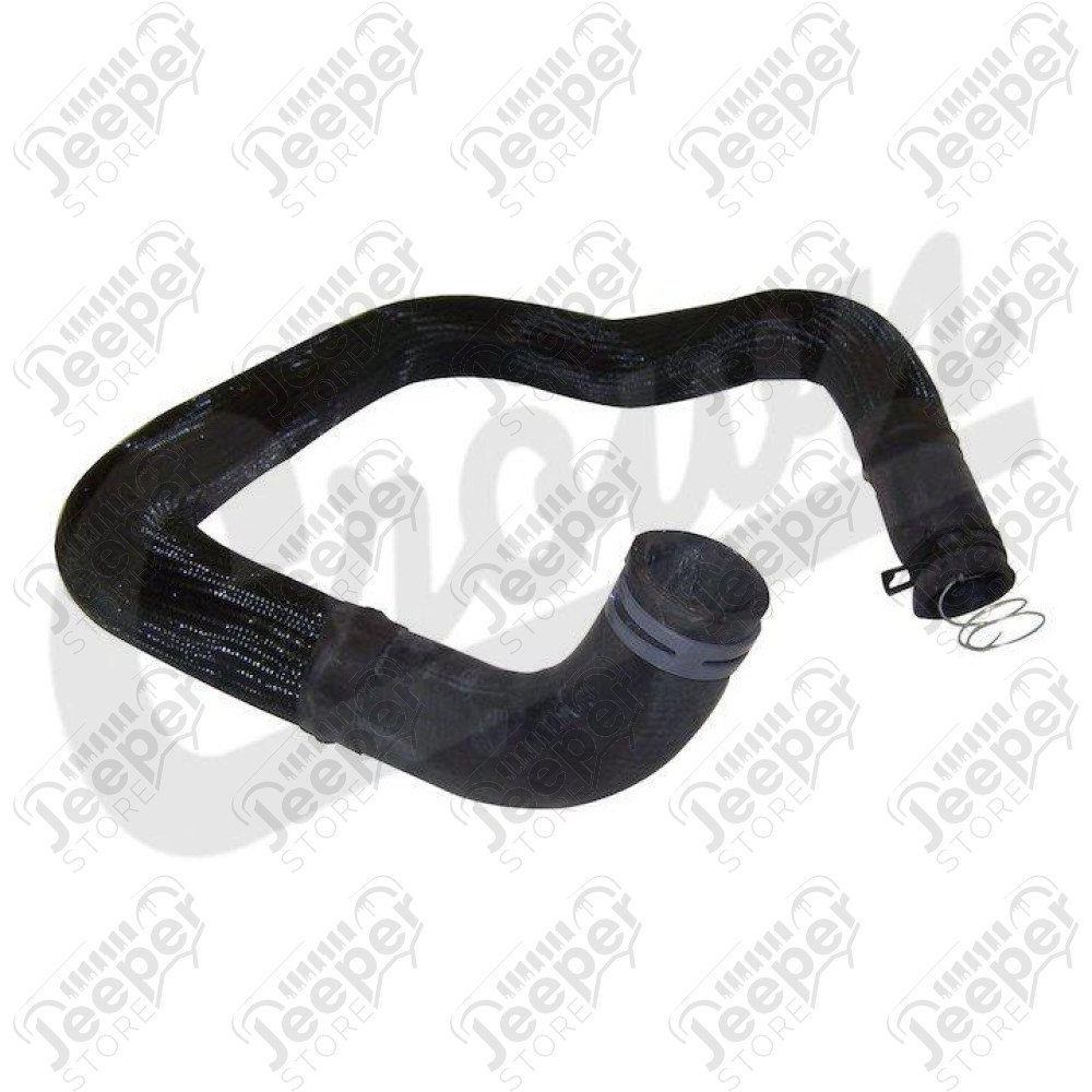 Radiator Hose (Lower-Outlet)