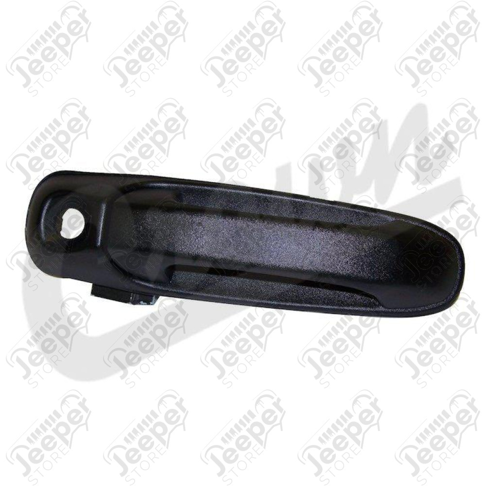 Door Handle (Front Left)