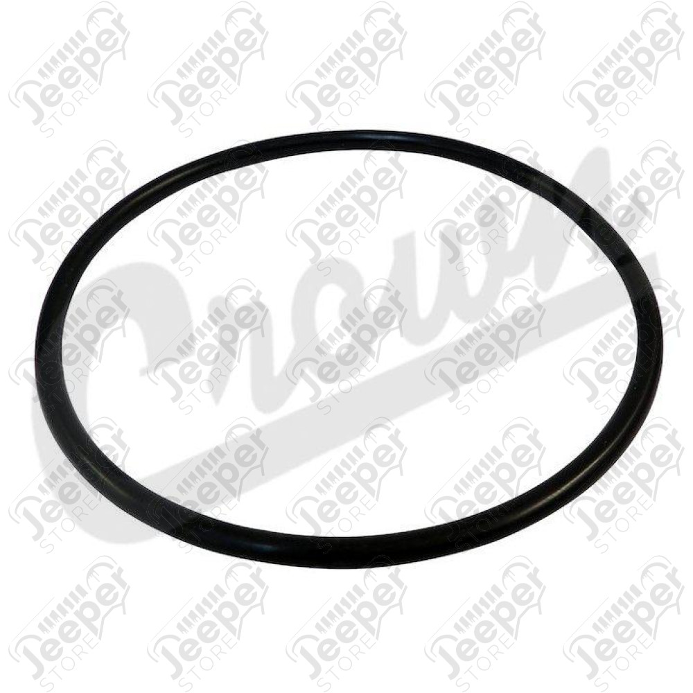 Fuel Module O-Ring