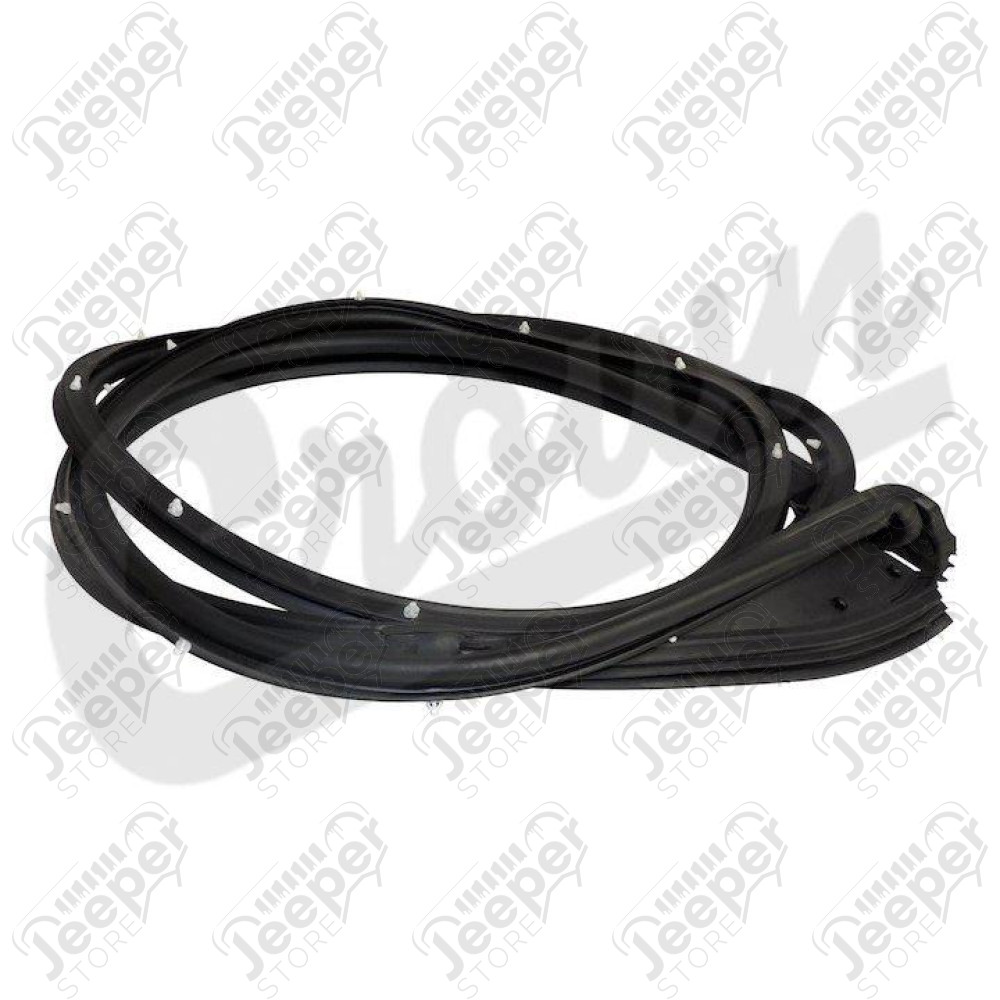 Door Weatherstrip (Front Left)