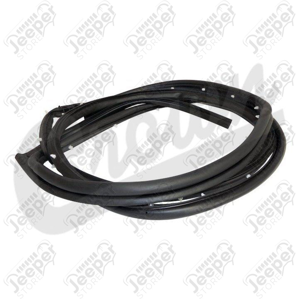 Door Weatherstrip (Rear Right)
