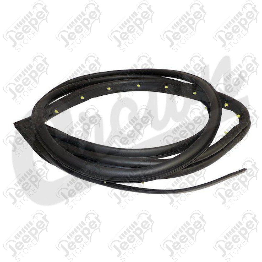 Door Weatherstrip (Rear Left)