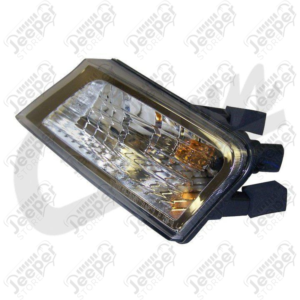 Park & Turn Signal Light (Left)
