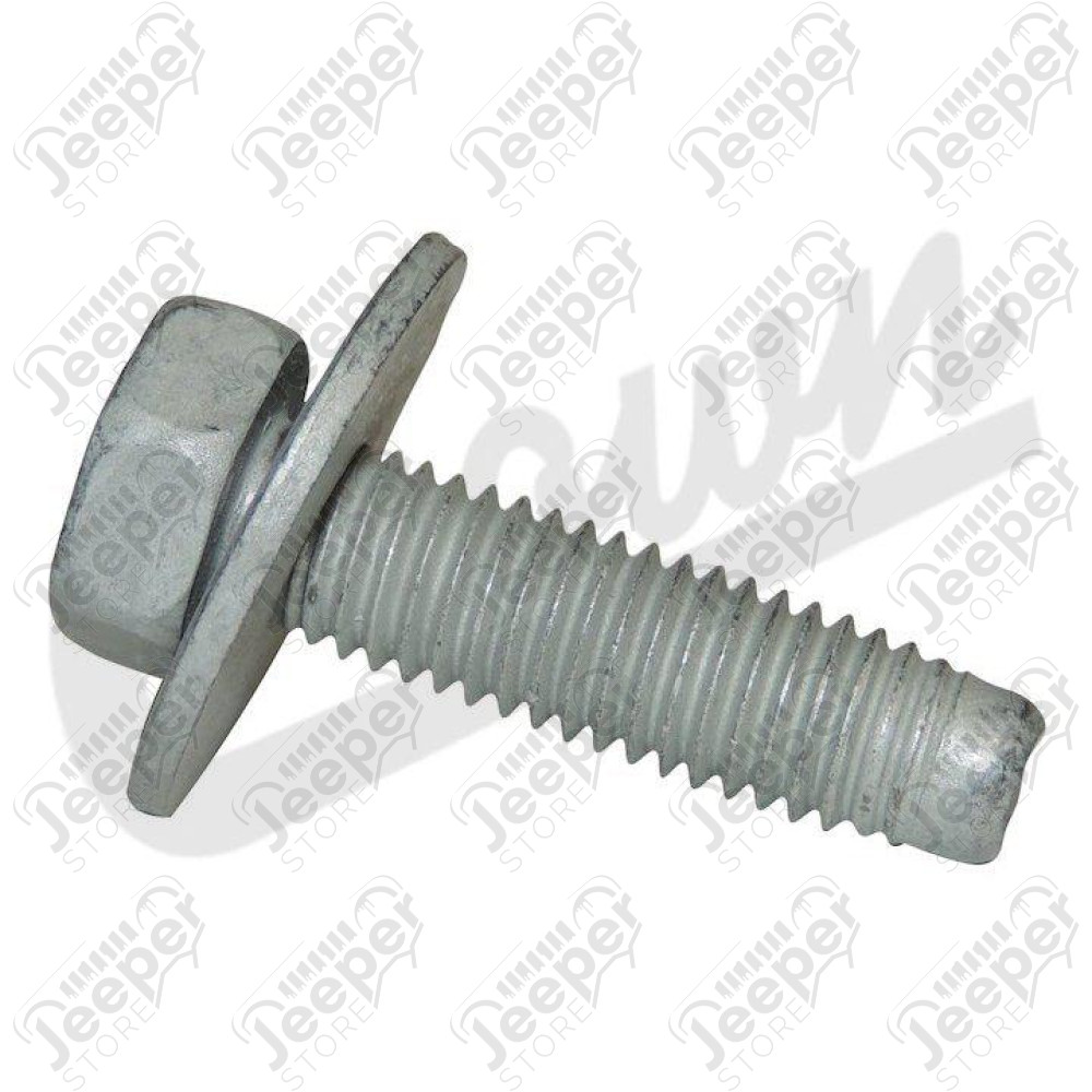 Screw & Washer