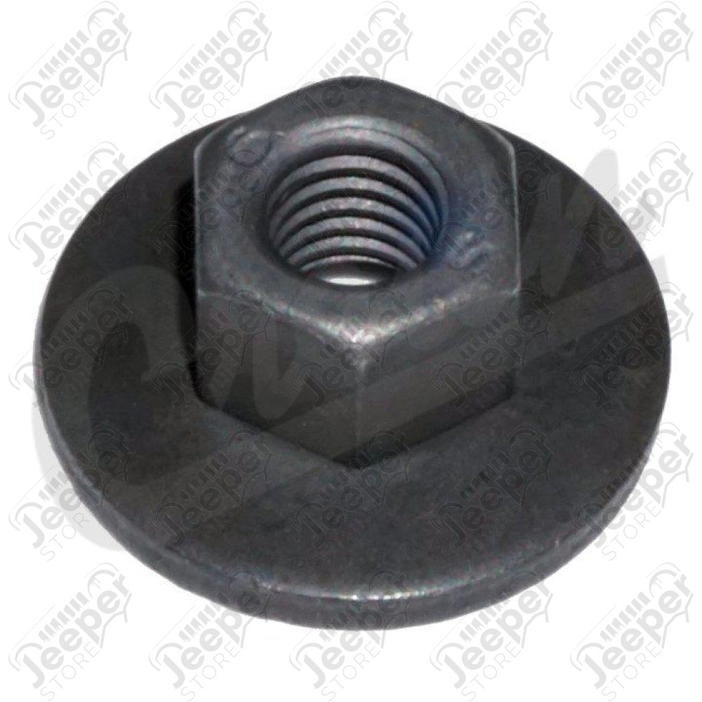 Nut and Washer