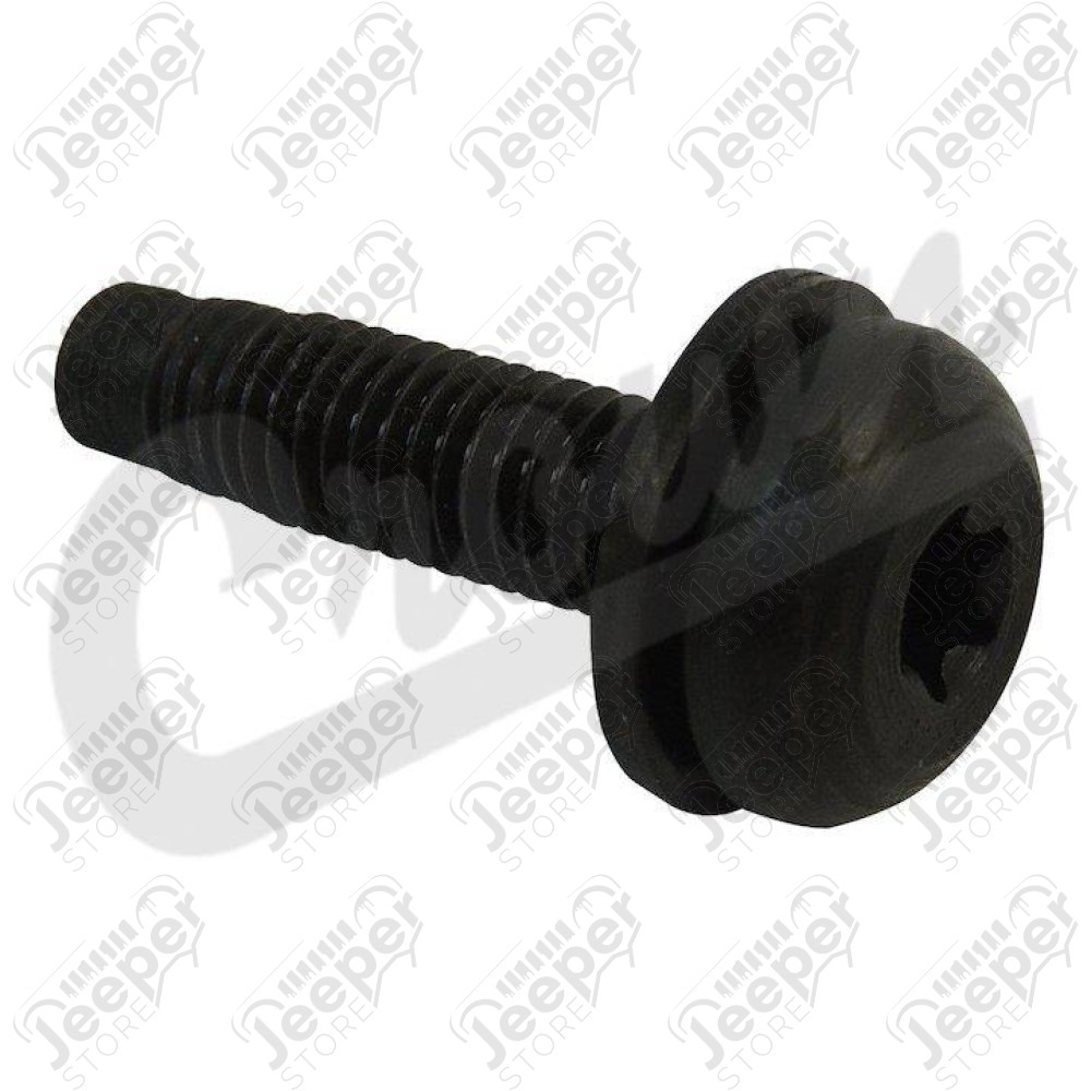 Hard Top Screw