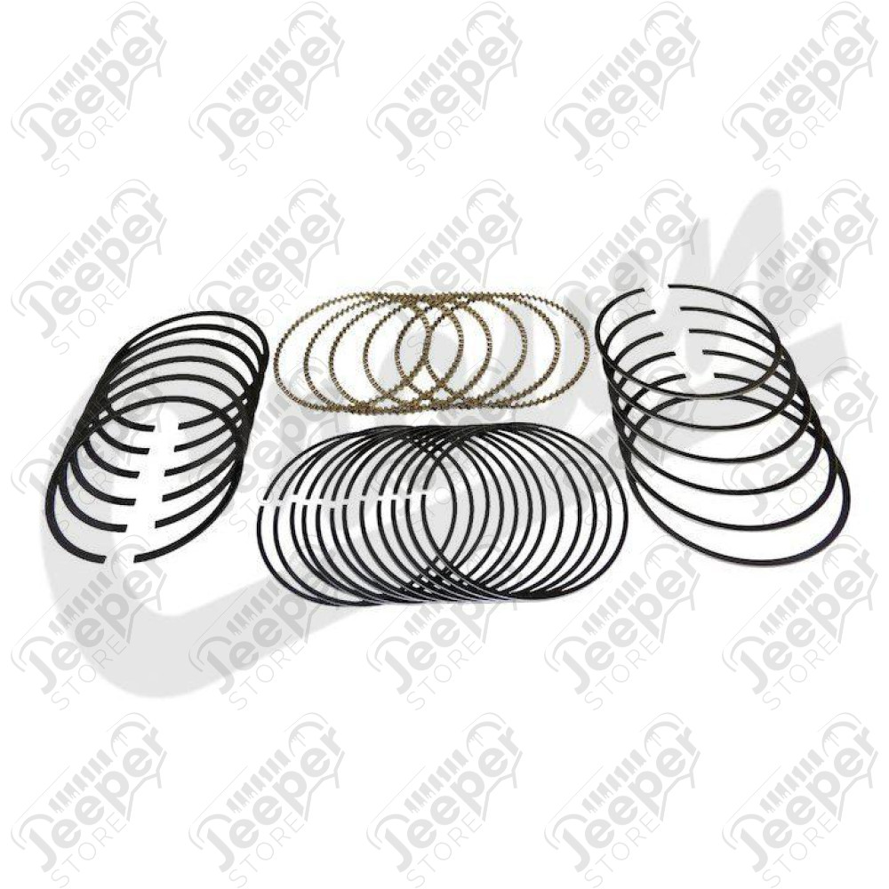 Piston Ring Set (Std)