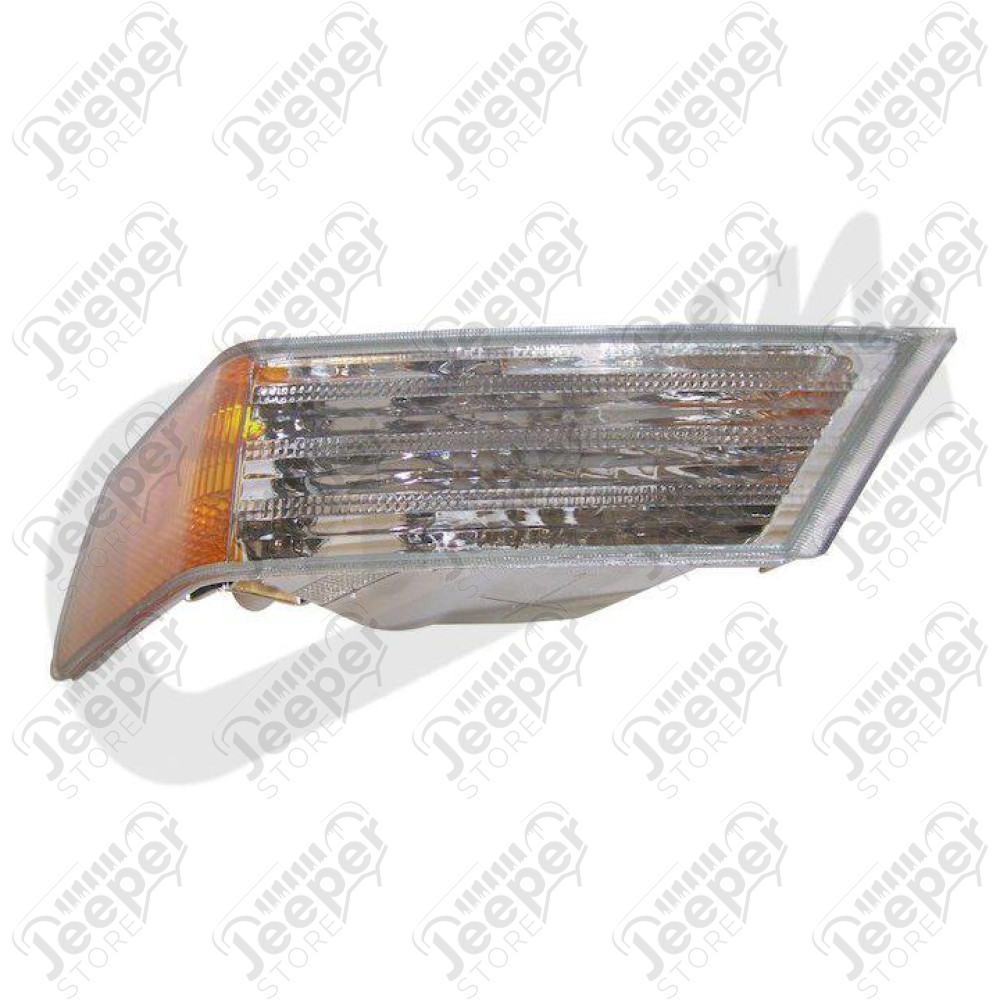 Parking & Turn Signal Light (Left)