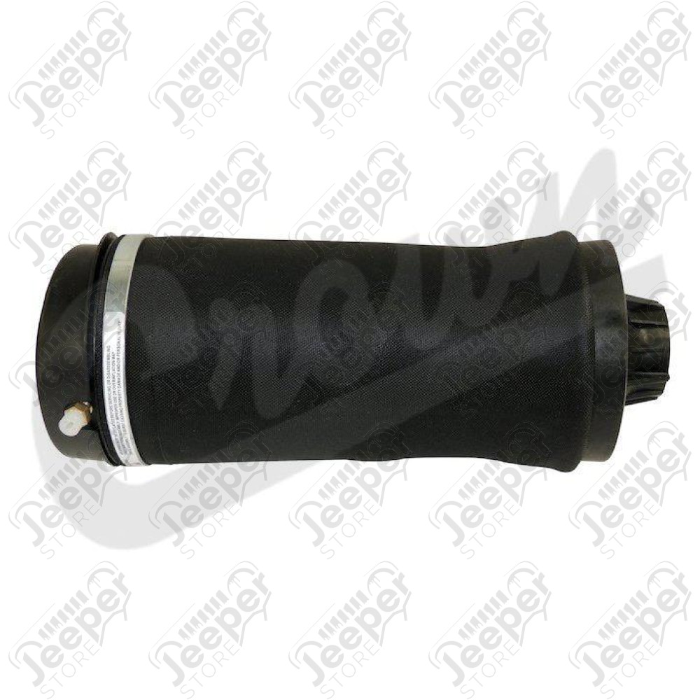 Air Suspension Spring Assy (Rear)
