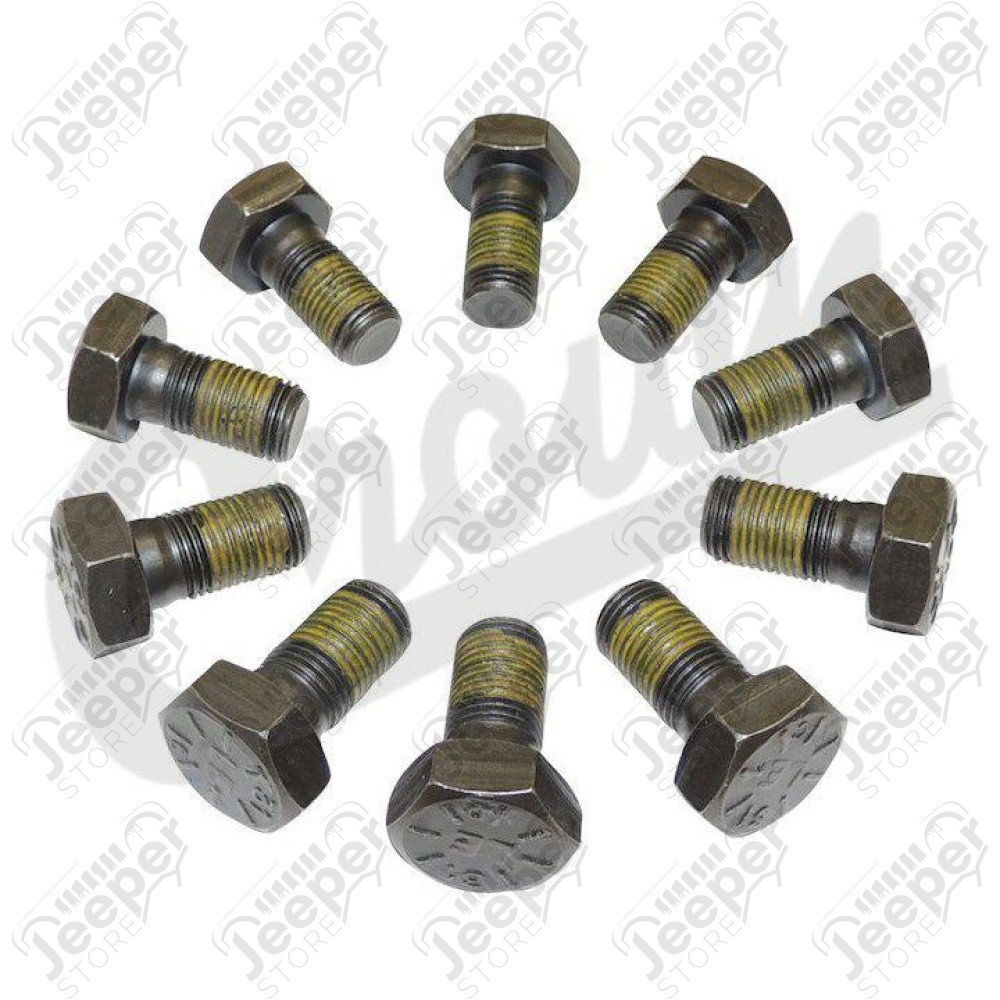 Ring Gear Bolt Kit