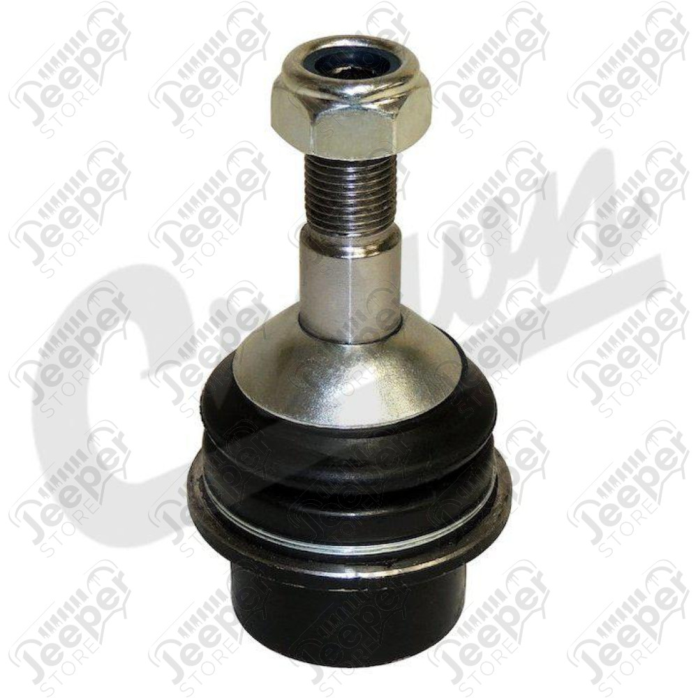 Ball Joint (Lower)
