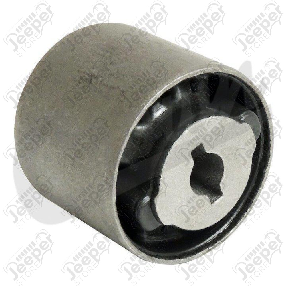 Differential Mount (Rear)