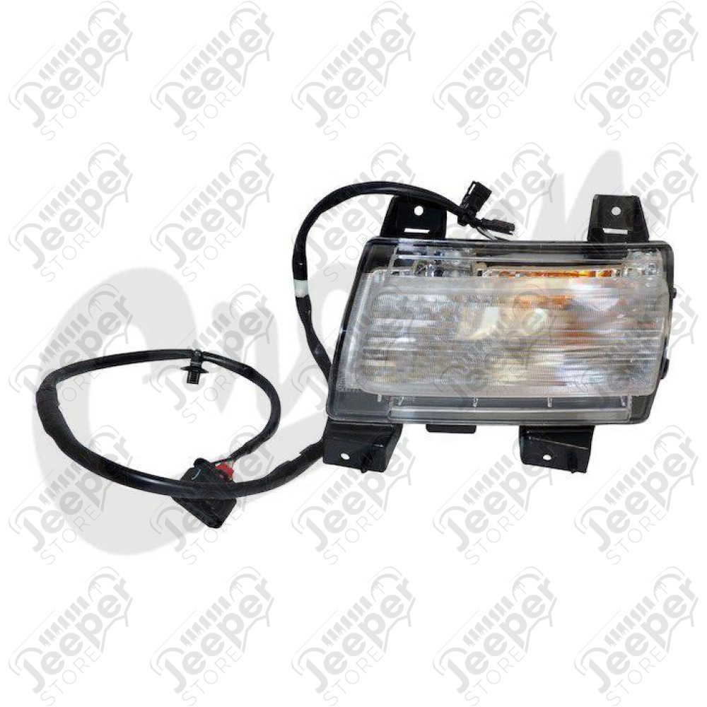 Parking Light (Front Left)
