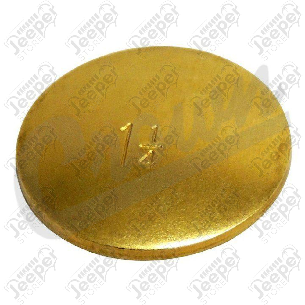 Expansion Plug (1.25-inch)