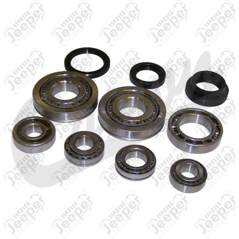 Bearing and Seal Kit (BA10)