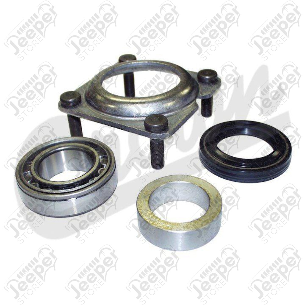 Axle Bearing Kit (Rear)