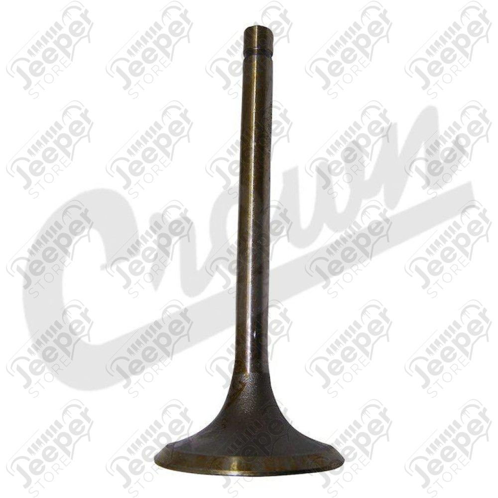 Intake Valve