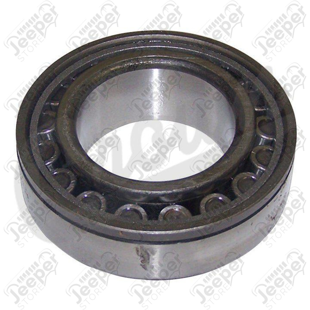 Differential Bearing Assembly