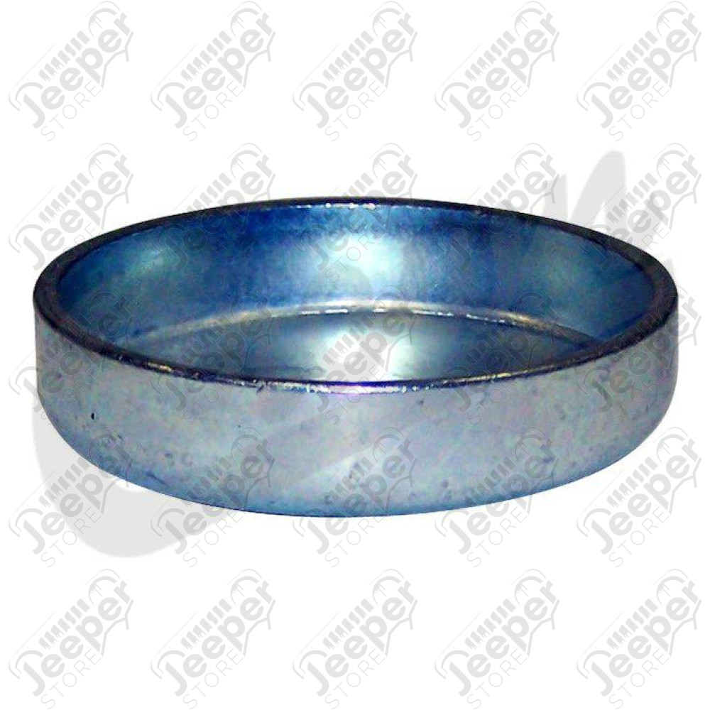 Camshaft Expansion Plug