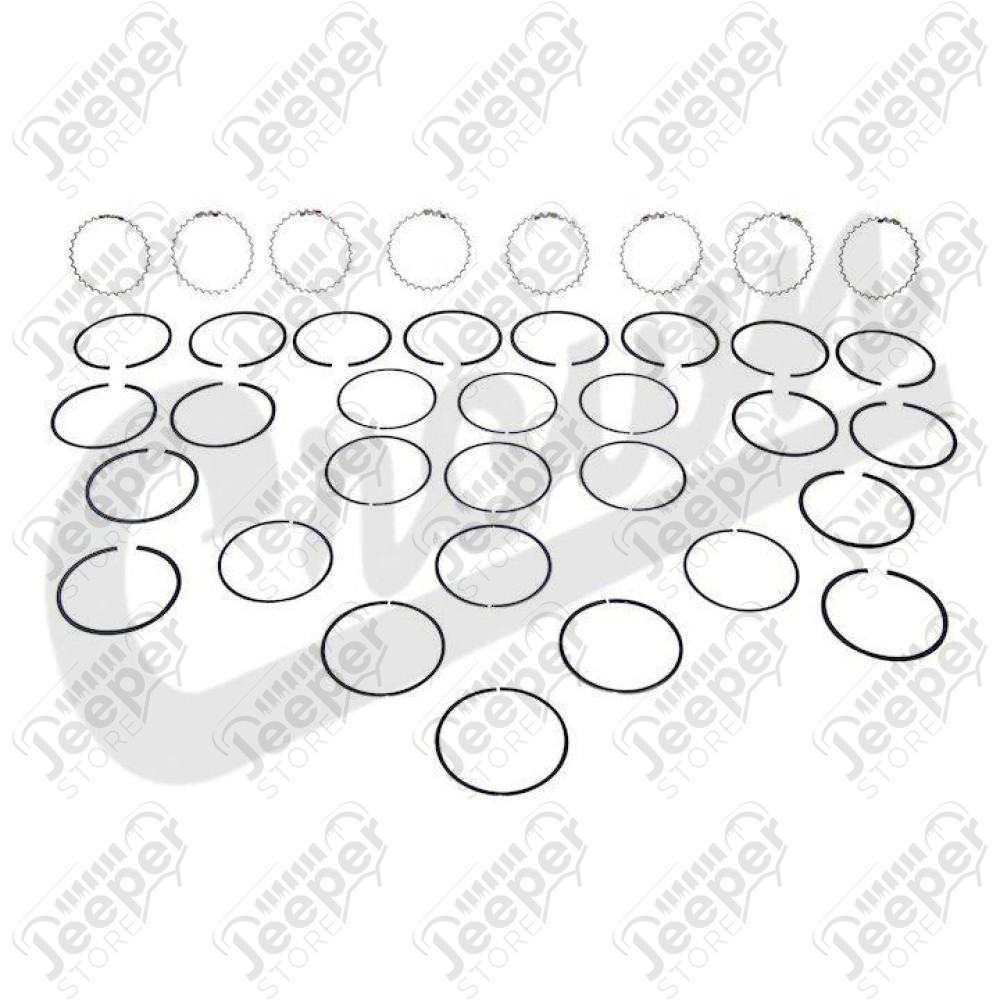 Ring Set (Std - 5.9L)