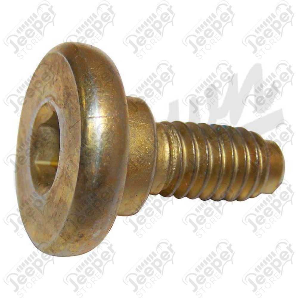 Brake Caliper Screw (Front)