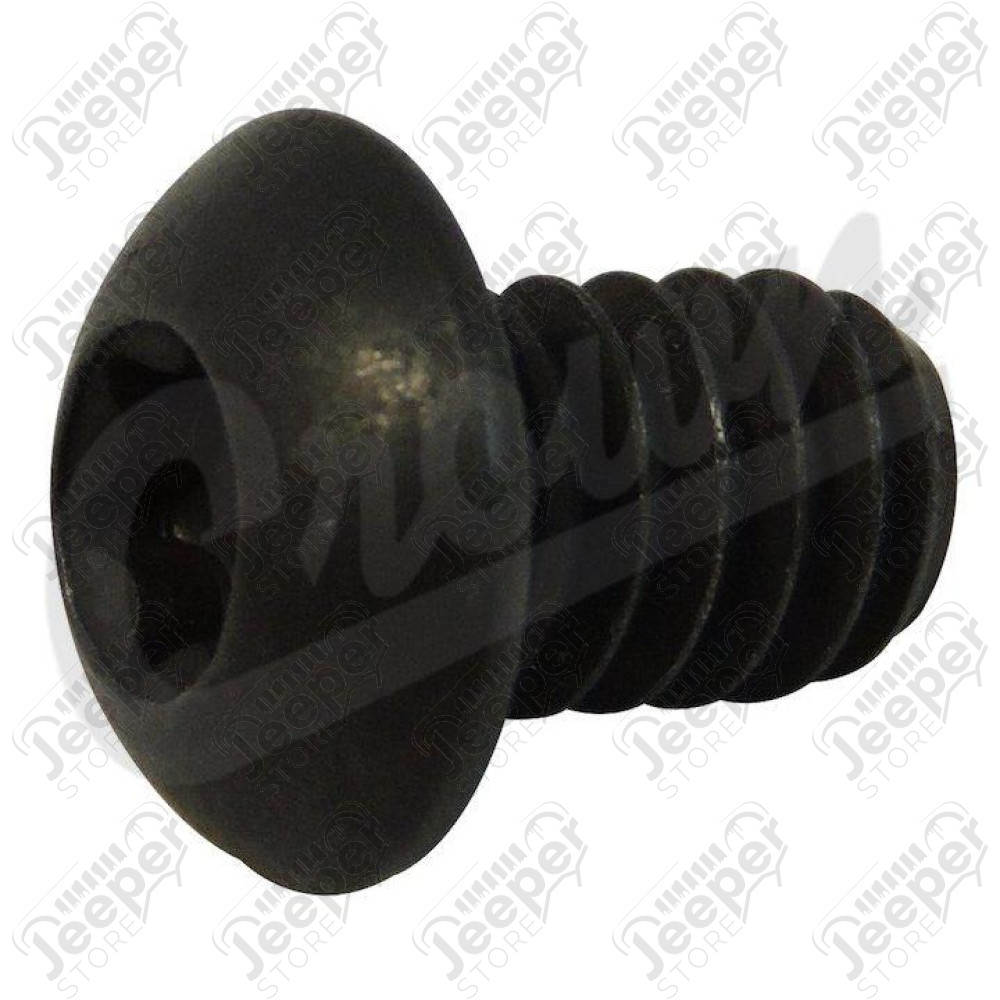 Torx Head Screw (Black)