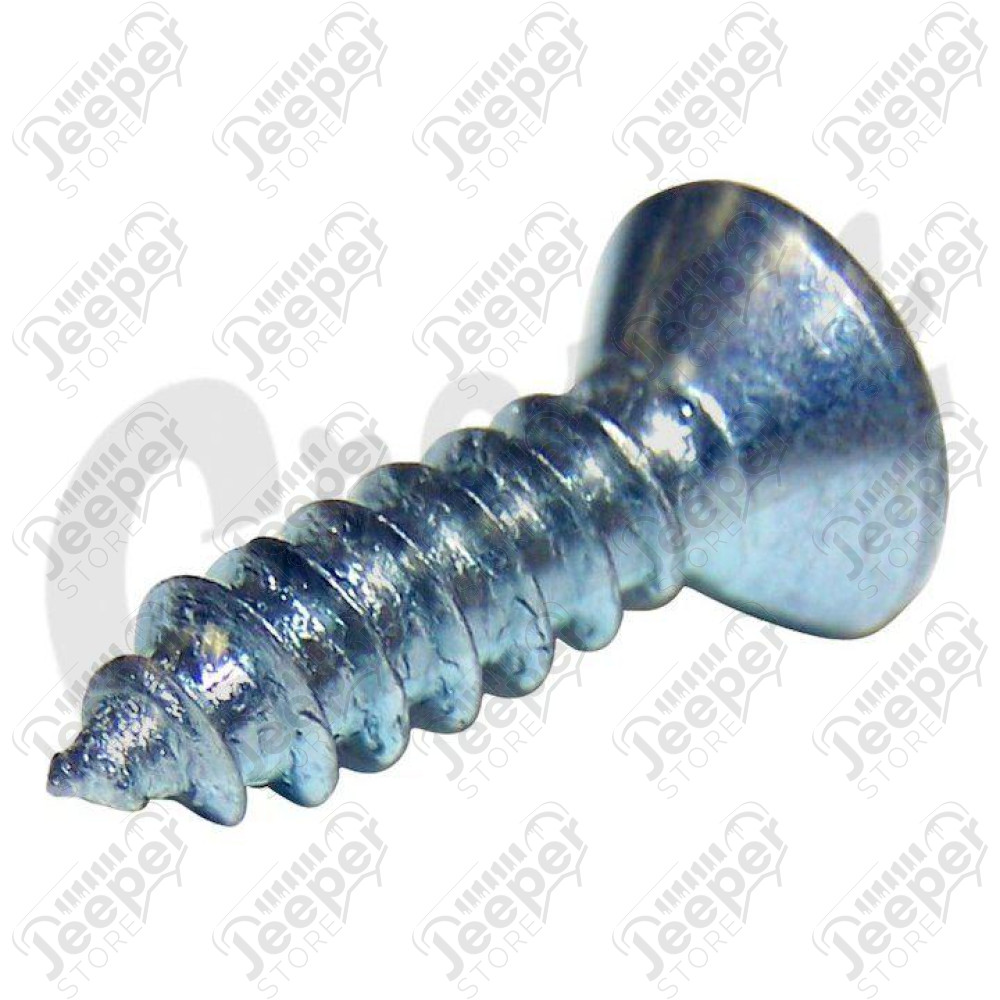 Side Mirror Mounting Screw